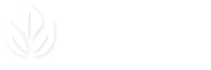 TMP Manufacture