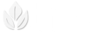 TMP Manufacture