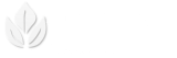 TMP Manufacture
